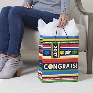 Hallmark Gift Bag, Large, Congrats with Stripes