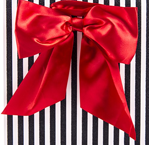 Hallmark Signature 10" Large Gift Bag with Tissue Paper (Red Bow) for Birthdays, Valentine's Day, Sweetest Day and More