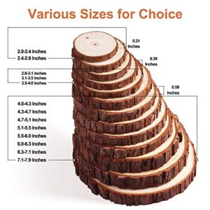 Fuyit Natural Wood Slices 30 Pcs 2.4-2.8 Inches Craft Wood Kit Unfinished Predrilled with Hole Wooden Circles Tree Slices for Arts and Crafts Christmas Ornaments DIY Crafts