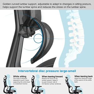 SAMOFU Ergonomic Office Chair, Backrest Height Adjustable Desk Chair,Big and Large Mesh Chair with Adjustable Lumbar Support/Armrest, High Back Computer Chair Executive Chair with Tilt & Lock Function