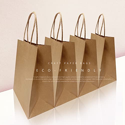 Paper Bags with Handles 50 Count 10x6.75x12 Inches Kraft Paper Bags for Wedding bags, Gift bags, Food bags, Shopping bags, Grocery bags, Storage bags, Lunch bags, Take away bags, Retail bags and More, Reusable, Eco-friendly and Sustainable 1072B 50C