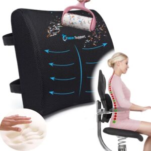 Lumbar Support Pillow for Office Chair - Back Comfort