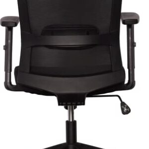 WeWork We Work Office Chair with Adjustable Arms and Lumbar Support, in Black