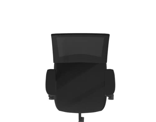 WeWork We Work Office Chair with Adjustable Arms and Lumbar Support, in Black