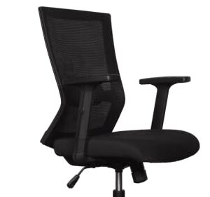 WeWork We Work Office Chair with Adjustable Arms and Lumbar Support, in Black