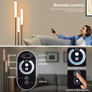 ZEROUNO LED Floor Lamp, Modern Floor Lamp with Remote Control& Stepless Dimmable, 3-Light with Foot Switch, Brightness Adjustable Standing Lamp for Living Room, Bedroom, Study and Office.