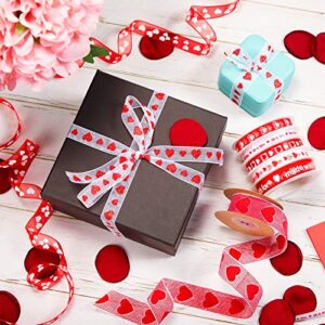 9 Rolls Valentine's Day Ribbons with Heart Printed and Sweet Words Love Ribbon Totally 65 Yards Assorted Ribbons in Different Width for DIY Wrapping, Hair Bow Clips, Party Decorating