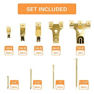 Hongway 276pcs Picture Hanging Kit, Picture Hanger Assortment, Heavy Duty Frame Hooks with Nails, Hanging Wire, Screw Eyes, D Ring and Sawtooth Hardware for Frames Mounting