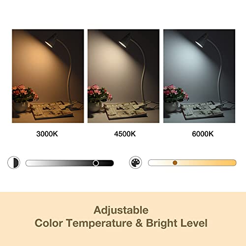 ALAMPEVER LED Clip Desk Lamp,3 Color Modes Book Light,10-Level Adjustable Brightness Dimmer Desk Lamp with Adapter, CRI 90+ Eye Protection Clip on Desk Light with 2700-6500K USB Clamp Light-White