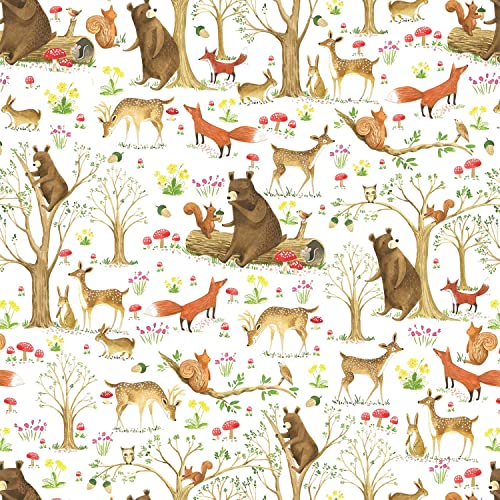Colors of Rainbow Flat Sheet Wrapping Paper Featuring Enchanted Fairytale Forest with Animal Friends Squirrels Foxes Rabbits And Bears Gift Wrap (Fairytale Forest)