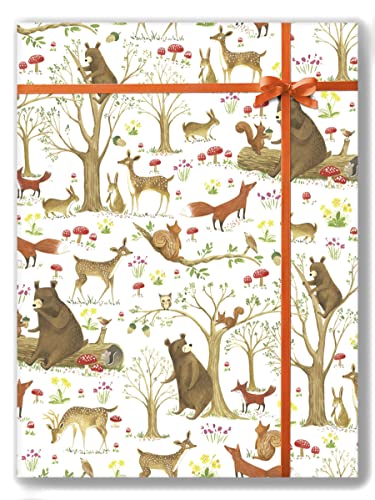 Colors of Rainbow Flat Sheet Wrapping Paper Featuring Enchanted Fairytale Forest with Animal Friends Squirrels Foxes Rabbits And Bears Gift Wrap (Fairytale Forest)