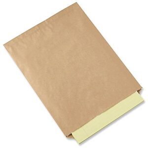 10″x13″ – 100 count – flat brown kraft paper bags by flexicore packaging®, shopping, mechandise, party, gift bags