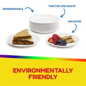 Hygloss Products Paper Plates - Uncoated White Plate - Use for Foodware, Events, Activities, Crafts Projects and More - Environmentally Friendly - Recyclable and Disposable - 6-Inches - 100 Pack