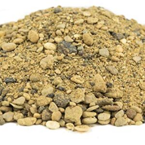 WWS War World Scenics WWScenics Army Coarse Model Sand | 180ml Tub | Scenery Basing Material