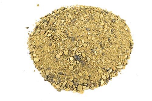 WWS War World Scenics WWScenics Army Coarse Model Sand | 180ml Tub | Scenery Basing Material