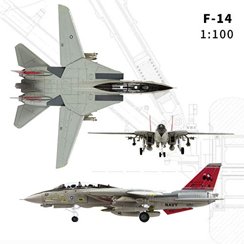 Lose Fun Park Diecast 1：100 F-14 Tomcat Fighter Attack Airplanes Military Display Model Aircraft for Collection or Gift