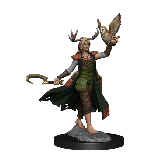 D&D Frameworks: Human Druid Female - Unpainted and Unassembled