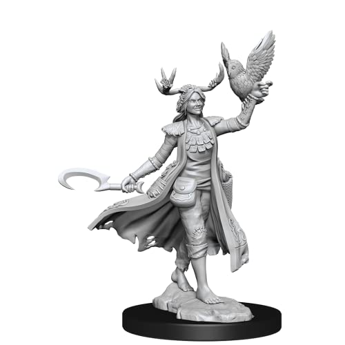 D&D Frameworks: Human Druid Female - Unpainted and Unassembled