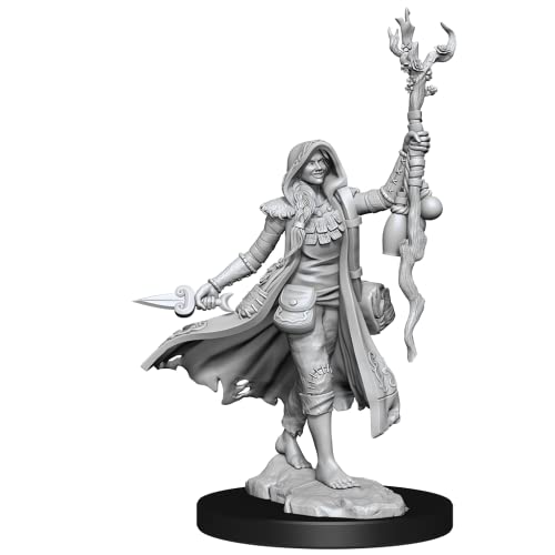 D&D Frameworks: Human Druid Female - Unpainted and Unassembled