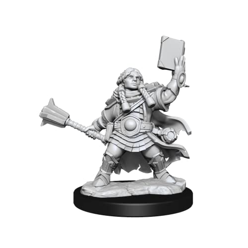 D&D Frameworks: Dwarf Cleric Female - Unpainted and Unassembled