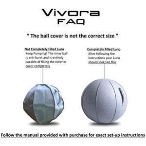 Vivora Luno Exercise Ball Chair, Lacewood Cover, Leatherette, Standard Size (22 to 24 inches), for Home Offices, Balance Training, Yoga Ball