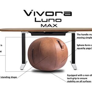 Vivora Luno Exercise Ball Chair, Lacewood Cover, Leatherette, Standard Size (22 to 24 inches), for Home Offices, Balance Training, Yoga Ball