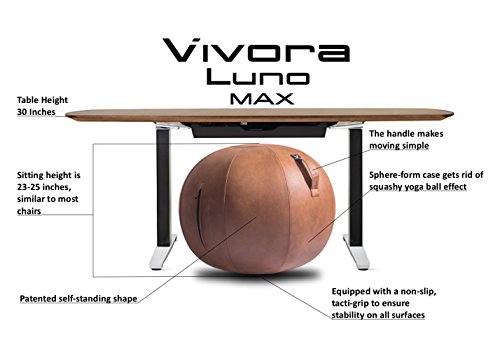 Vivora Luno Exercise Ball Chair, Lacewood Cover, Leatherette, Standard Size (22 to 24 inches), for Home Offices, Balance Training, Yoga Ball