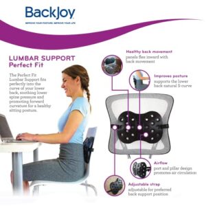 BackJoy Lumbar Support with Adjustable Strap, Designed for Spine and Lower Back Pain, Posture Correction, Adjustable, Breathable, Ideal for Office Chair, Car Seat, Desk Chair