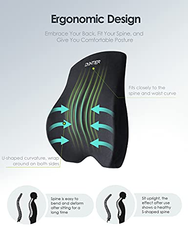 DAINTIER Back Cushion,Lumbar Support Cushion Pillow,100% Memory Foam Car Cushion, Office Chair Cushion for Back Pain Relief, Ideal Back Support for Car Seat, Gaming Chair，Wheelchair…