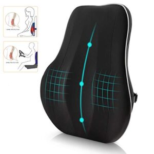 newgam lumbar support pillow/back cushion,memory foam orthopedic backrest with breathable 3d mesh for car seat,office/computer chair,wheelchair and recliner,ergonomic design for back pain relief-black