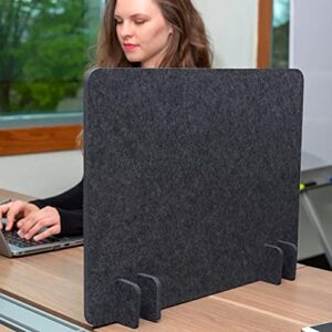 Stand Up Desk Store ReFocus Raw Noise and Distraction Reducing Freestanding Acoustic Desk Divider Mounted Privacy Panel (Anthracite Gray, 20.9" x 16")