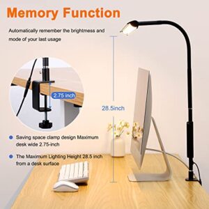 Aunkazey Led Desk Lamp,37.4" Wide Architect Clamp Desk Lamps for Home Office,30W Brightest Led Workbench Desk Light,3 Modes and 5 Dimmable Brightness Task Desk Lamp for Monitor Studio Reading