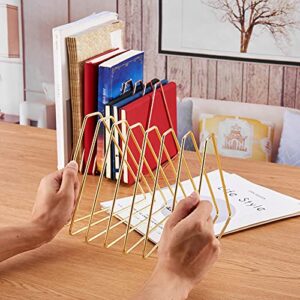 Fameskey Book Sorter Organizer Metal Wire Desk File Sorter Accessories Set, 9 Slot Adjustable Triangle Display Folder Stand, Magazine File Holder, Red Wine Shelf, for Home Office - Gold