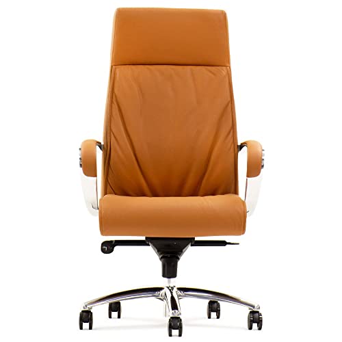 Zuri Furniture Forbes Genuine Leather Aluminum Base High Back Executive Chair - Tan