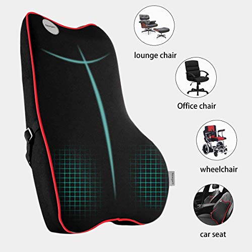 Newgam Lumbar Support Pillow,Pure Memory Foam Back Cushion Orthopedic Backrest with Breathable 3D Mesh for Car Seat,Office Chair,Computer Chair,Wheelchair and Recliner.Ergonomic Design (Red Edge)