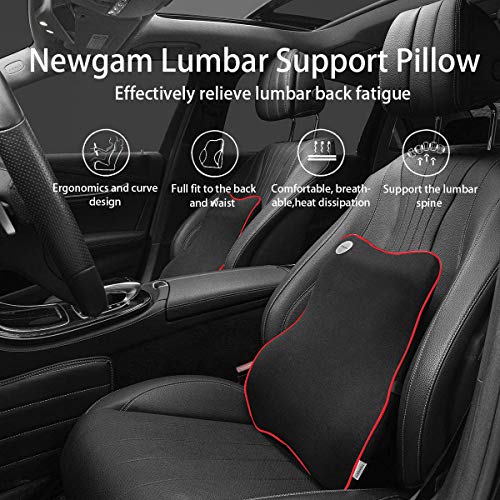 Newgam Lumbar Support Pillow,Pure Memory Foam Back Cushion Orthopedic Backrest with Breathable 3D Mesh for Car Seat,Office Chair,Computer Chair,Wheelchair and Recliner.Ergonomic Design (Red Edge)