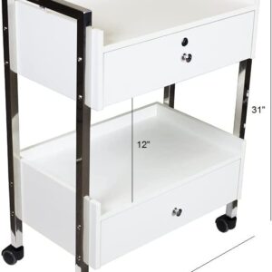 Supreme Medical Dental Mobile Utility Cabinet with Steel Frame and Two Drawer With One lockable Drawer cart