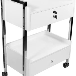 Supreme Medical Dental Mobile Utility Cabinet with Steel Frame and Two Drawer With One lockable Drawer cart