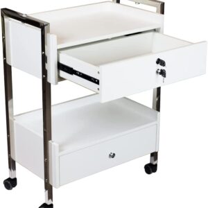 Supreme Medical Dental Mobile Utility Cabinet with Steel Frame and Two Drawer With One lockable Drawer cart