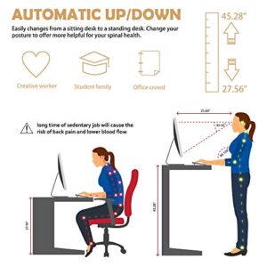 Meilocar Height Adjustable Electric Standing Desk, Sit Stand Computer Desk with Memory Controller, Home Office Desk Computer Workstation 48" x 24" Tabletop (White Top + White Frame)