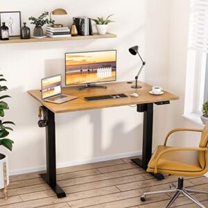 Meilocar Height Adjustable Electric Standing Desk, Sit Stand Computer Desk with Memory Controller, Home Office Desk Computer Workstation 48" x 24" Tabletop (White Top + White Frame)