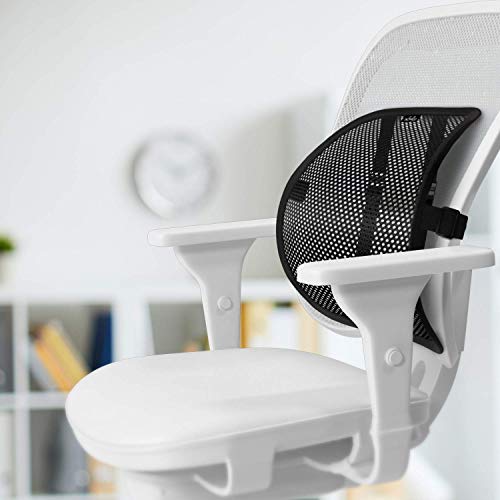 BOD Lumbar Mesh Back Support - Bring Comfort to an Office Chair, Car, and Truck Seat Lower Back Pain Relief Behind Your Desk for All Day Pillow Like Comfort