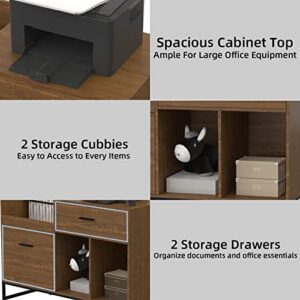 Visionwards Wood Filing Cabinet 2 Drawer, Lateral File Cabinet for Letter Size, Printer Stand with Open Storage Shelves, File cabinets for Home Office, Black/Rustic Brown