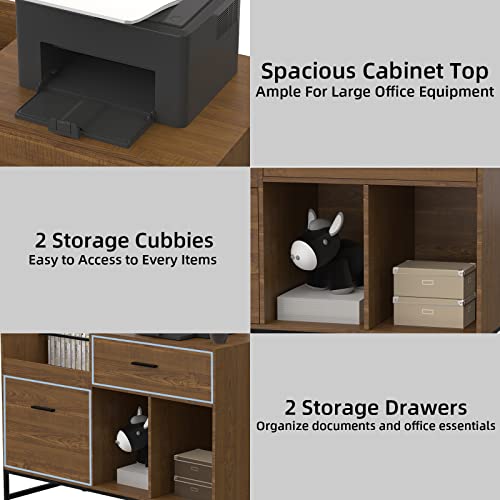 Visionwards Wood Filing Cabinet 2 Drawer, Lateral File Cabinet for Letter Size, Printer Stand with Open Storage Shelves, File cabinets for Home Office, Black/Rustic Brown