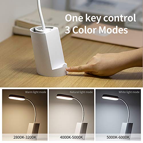 Ross Beauty LED Desk Lamp Eye-Caring Table Lamps, Dimmable Office Lamp with USB Charging Port, Touch Control, 3 Color Modes,3 Brightness Levels (Blue)