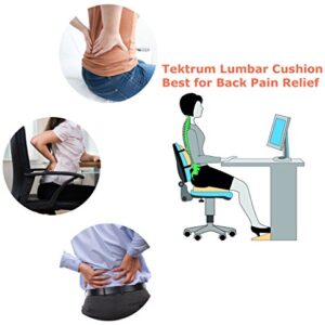 Tektrum Full Lumbar Entire Back Support Cushion for Home/Office Chair, Car Seat - Washable Cover, Ergonomic Thick 3D Design Fit Body Curve - Back Pain Relief, Improve Posture - Black (TD-QFC024-BLK)