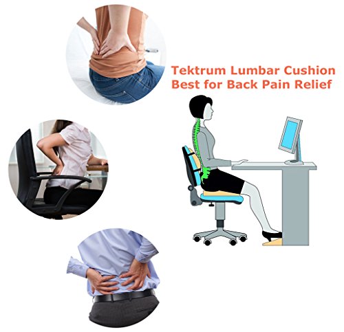 Tektrum Full Lumbar Entire Back Support Cushion for Home/Office Chair, Car Seat - Washable Cover, Ergonomic Thick 3D Design Fit Body Curve - Back Pain Relief, Improve Posture - Black (TD-QFC024-BLK)