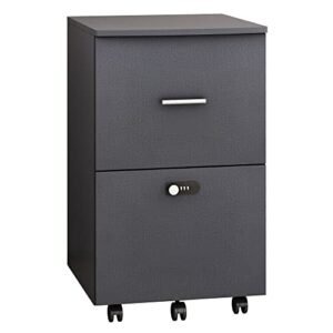 welfurgeer file cabinet for home office, 2 drawer filing cabinet with coded lock, mobile file cabinets for legal/letter/a4 file, black