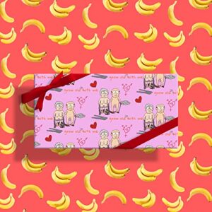 reversible gift wrapping paper – rolled 5 sheets -naughty old couple(33″ x 17″ each sheet) – inclueds ribbon and double-sided tape – unique design for anniversary birthdays valentine’s day and party