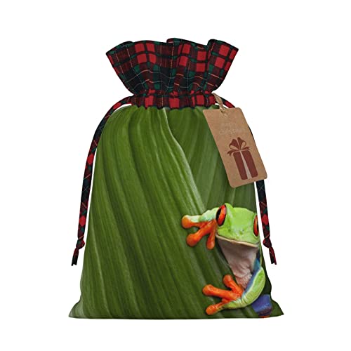 Allgobee Christmas Drawstring Gift Bags Tropical-Funny-Tree-Frog Buffalo Plaid Drawstring Bag Party Favors Bags